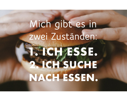 Dekomagnet Mich gibt es in 2 Zuständen: 1. Ich esse. 2. Ich suche nach essen. 8,5x5,5 cm-0