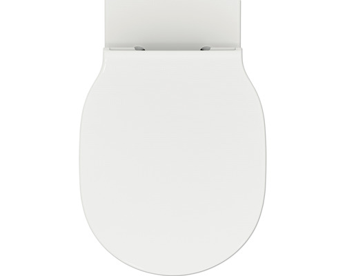 Toilettensitz von oben