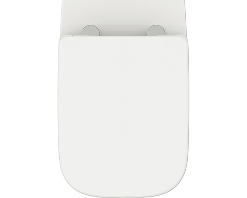 Toilettendeckel aus Duroplast