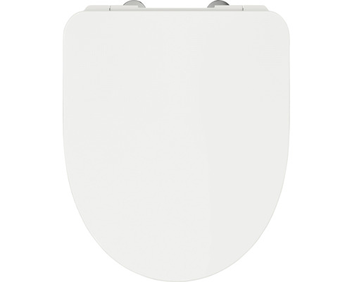 Toilettendeckel aus Kunststoff mit Befestigung