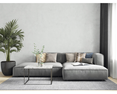 Wohnzimmer mit grauer Couch, Teppich und Zimmerpflanze