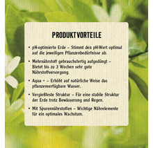 Produktvorteile: pH-optimierte Erde, Mehrnährstoff gebrauchsfertig aufgedüngt, Aqua plus erhöht auf natürliche Weise das pflanzenverfügbare Wasser, vergießfeste Struktur, Spurennährstoffe für optimales Wachstum