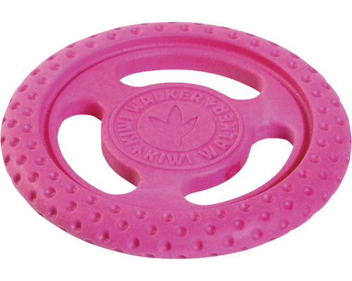 Mini Kiwi Walker Hundespielzeug