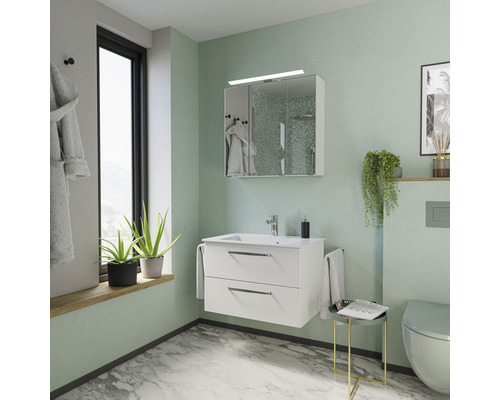 Badezimmer mit Waschbeckenunterschrank, Spiegelschrank und Dekoration