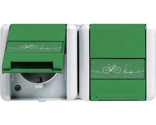 Jung 8220 GN NAWEB Steckdose 2-fach mit E-Bike Ladesymbol + Klappdeckel + Schriftfeld IP44 grau/grün