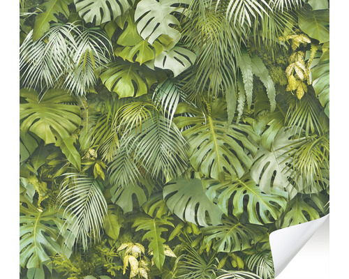 Tapete selbstklebend 38583-1 Palmenblätter grün 8,40 x 0,53 m
