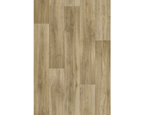 PVC-Boden Jackson Holz lime oak eiche 631M 400 cm breit (Meterware)