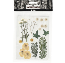 Verpackung mit getrockneten Blumen und Blättern für Bastelarbeiten