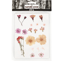 Nature Look Trockenblumen in Verpackung