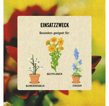 Illustration verschiedener Pflanzenarten: Blumenzwiebeln, Beetpflanzen und Stauden.