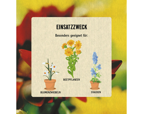Illustration verschiedener Pflanzenarten: Blumenzwiebeln, Beetpflanzen und Stauden.
