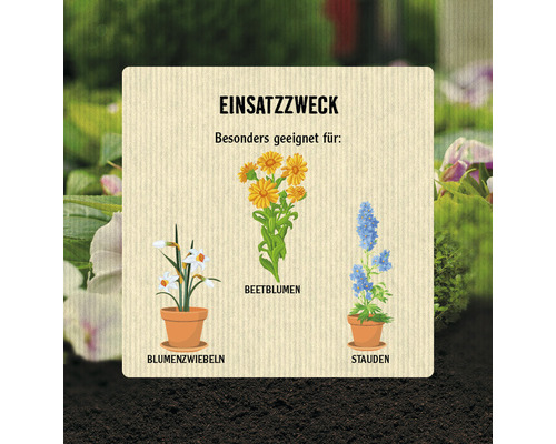 Informationen zur Verwendung mit Illustrationen von Zwiebelblumen, Beetblumen und Stauden