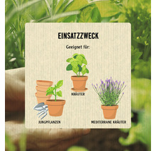 Informationen zur Verwendung von Kräutern, Jungpflanzen und mediterranen Kräutern
