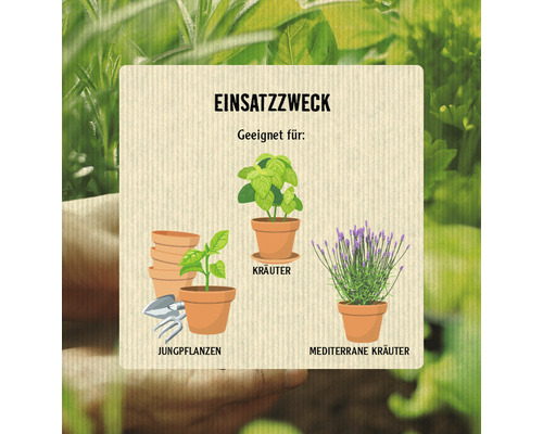 Informationen zur Verwendung von Kräutern, Jungpflanzen und mediterranen Kräutern