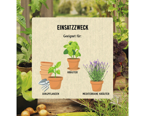 Illustration verschiedener Pflanzen in Töpfen für den Garten