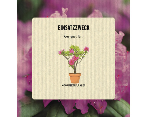 Geeignet für Moorbeetpflanzen