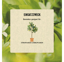 Verwendungszweck: Besonders geeignet für Zitruspflanzen und Kübelpflanzen.
