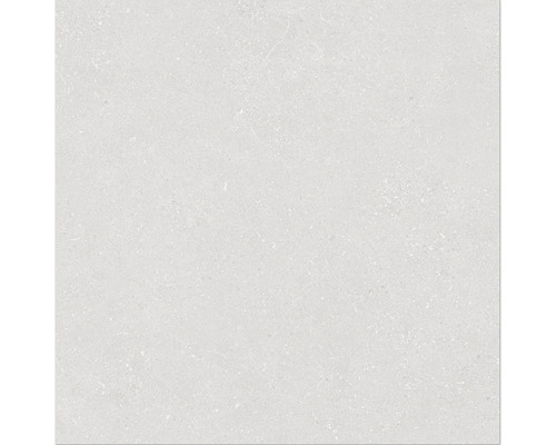 Feinsteinzeug Wand- und Bodenfliese Alpen 60 x 60 cm weiß matt