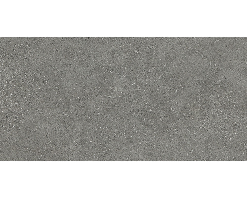 Feinsteinzeug Wand- und Bodenfliese Alpen Grau matt rektifiziert 30 x 60 x 1.0 cm Feinsteinzeug Wand- und Bodenfliese Alpen Grau matt rektifiziert 30 x 60 x 1.0 cm