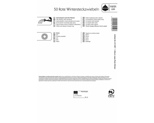 Informationen zu roten Wintersteckzwiebeln, inklusive Pflanzanleitung, Standort und Bewässerung