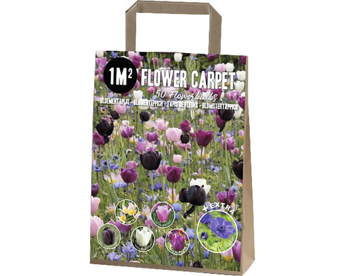 Blumenzwiebel Blumenteppich-Mix 'Persian Carpet' mit Tulpen 'Queen of Night', 'Royal Virgin', 'Mistress', 'Purple Flag' & 'Bakeri Lilac Wonder', Anemone 'Mr. Fokker' 40 Stk.für 1 m² Blumenzwiebeln im Papierbeutel für einen Blütenteppich von einem Quadratmeter