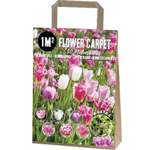 Verpackung Blumenzwiebeln für einen Quadratmeter Blumenbeet