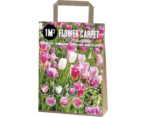 Blumenzwiebel Blumenteppich-Mix 'Fata Morgana' mit Tulpen 'Tom Pouce', 'Fancy Frills', 'Columbus', 'Finola', 'Mistress' & 'Royal Virgin', Oxalis 'Deppei Iron Cross' 35 Stk Verpackung Blumenzwiebeln für einen Quadratmeter Blumenbeet