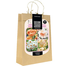 Verpackung mit Blumenzwiebeln für die Frühlingsbepflanzung