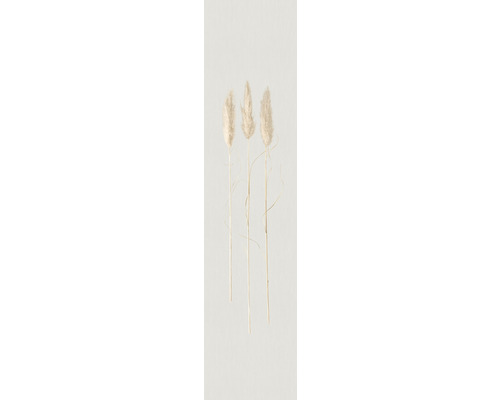 Fototapete Vlies 33280 Natural Opulence by Felix Diener Gräser grau beige 1-tlg. 70 x 330 cm