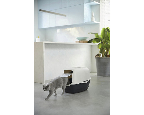 Katze betritt Katzentoilette in einem hellen Raum