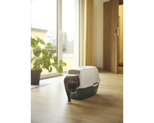 Katze verlässt Katzentoilette in einem hellen Raum