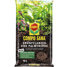 Zimmerpflanzenerde COMPO SANA® Grünpflanzen- und Palmenerde 10 L für alle Zimmerpflanzen, Balkonpflanzen, Palmen und Farne-thumb-0