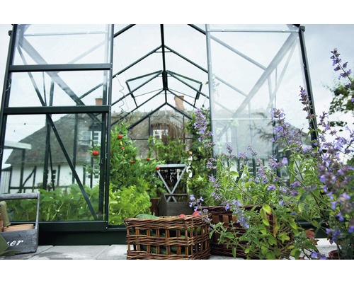 Gewächshaus mit Pflanzen und Gemüsebeeten