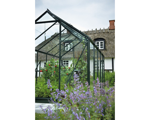 Gewächshaus mit Pflanzen vor einem Haus mit Strohdach