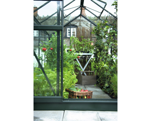 Gewächshaus mit Gemüse und Pflanzen im Inneren, präsentiert durch eine geöffnete Tür