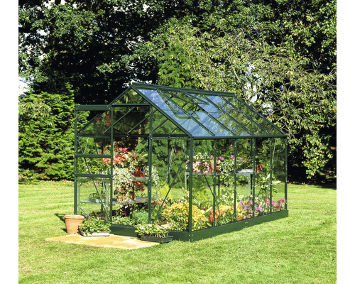 Gewächshaus Halls Popular 106 6,2 m² Blankglas 3 mm 193x319 cm grün Gewächshaus mit Pflanzen im Garten