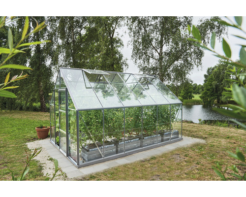 Gewächshaus im Garten mit Pflanzen