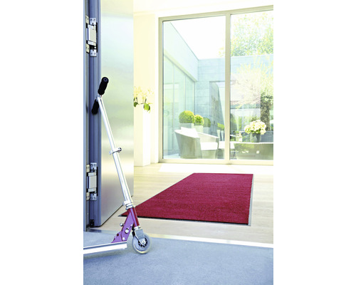 Eingangsbereich mit Fußmatte, Glastür und Roller