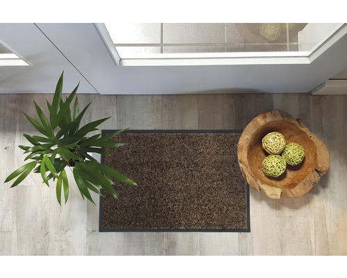 Ansicht von oben: Fußmatte, Zimmerpflanze und Dekoschale im Eingangsbereich.