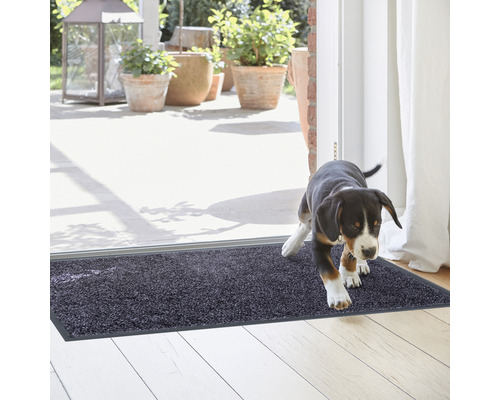Schmutzfangmatte vor einer Terrassentür mit einem Hund