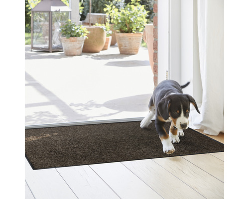 Fußmatte im Eingangsbereich mit Hund