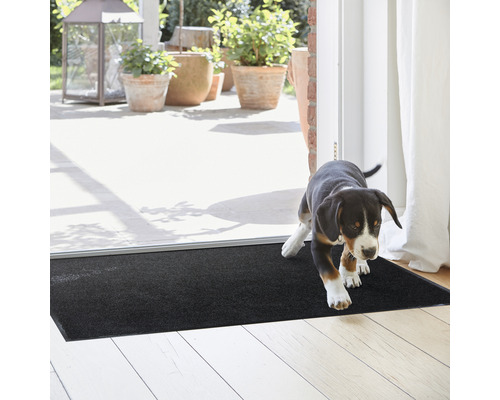 Schmutzfangmatte im Eingangsbereich mit Hundewelpen