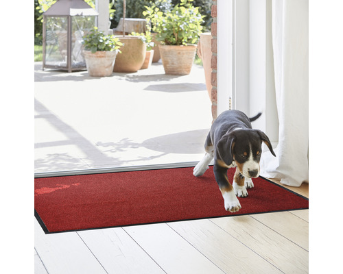 Rote Fußmatte im Innenbereich mit einem Hund