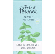 Prêt à Pousser Basilikum Großes Grün Kapsel