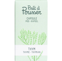 Prêt à Pousser Thym Kapsel