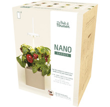 Verpackung eines Prêt à Pousser Nano Gartens mit Pflanze