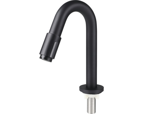 Schwarzer Küchenarmatur Wasserhahn mit Schwenkauslauf