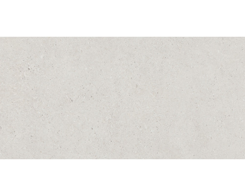 Feinsteinzeug Wand- und Bodenfliese Alpen Beige matt rektifiziert 30 x 60 x 1.0 cm