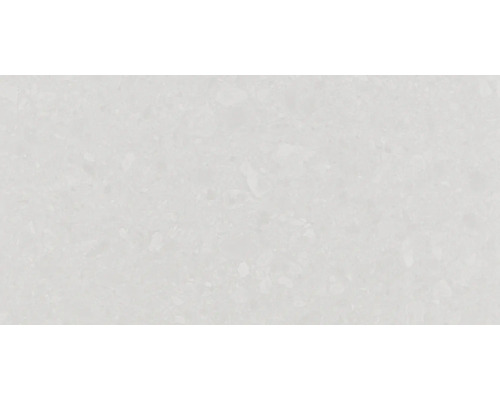 Feinsteinzeug Wand- und Bodenfliese Terrazzo Donau 30 x 60 cm weiß matt rektifiziert