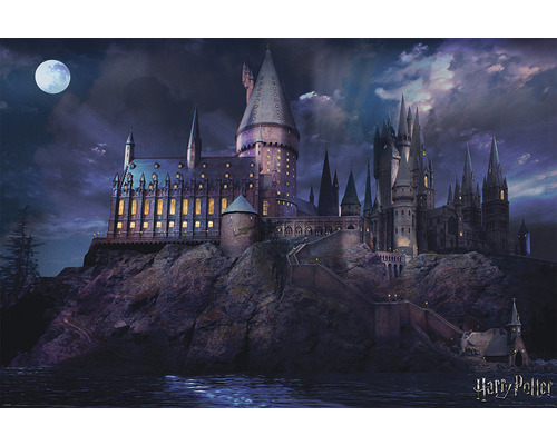 Maxiposter Harry Potter Hogwarts 61x91,5 cm